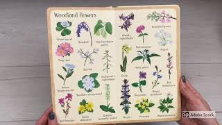 199 flowers -Usborne