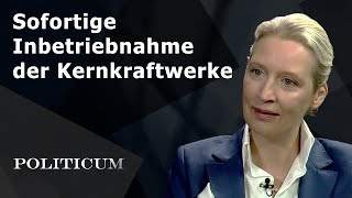 Sofortige Inbetriebnahme der Kernkraftwerke