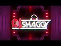 dj shaggy reggaeton viejo vol 2