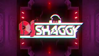 Dj Shaggy - Reggaeton Viejo Vol 2