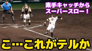 【超絶美技】佐藤輝明、三塁線のバント打球を素手で掴みにアクロバットな体勢から素早く一塁に送球してアウトにする超ファインプレー！サトテルのビッグプレーに甲子園は大歓声！ 2024.6.18