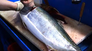 대방어! 회뜨기 / 머리가 잘려도 살아 있는 방어 / Big Yellowtail / cutting show / sashimi