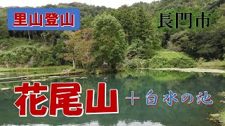 【里山登山】長門市 花尾山から美祢市「白水の池」