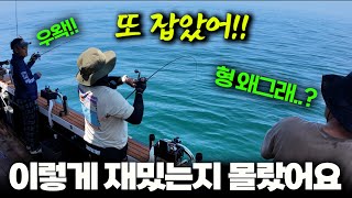 이런 낚시는 처음입니다!! 너무 재밌어요!! / 인천 영흥도 (박선비tv)