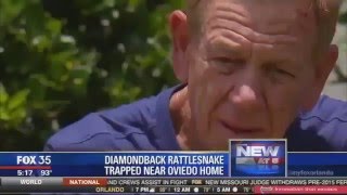 Oviedo man finds big rattlesnake in backyard