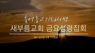 새부름교회 금요성령집회 ㅡ 틀어놓고 기도하세요 (24.12.06)