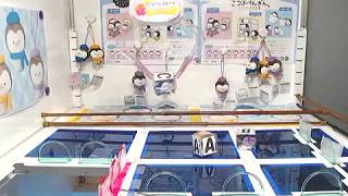 [Fun汀Play] Toreba 福利台 小企鵝 こつぶぺんぎん Hobby Penguin. Winter mascot C  Get!