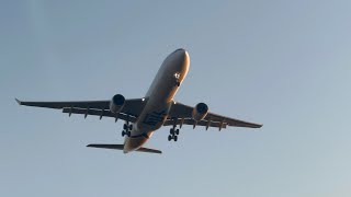 🛩️SUMMER LANDINGS AND TAKEOFFS AT SOCHI [AER/URSS] AIRPORT |PLANESPOTTING \u0026 AIRCRAFT IDENTIFICATION