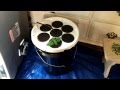 Easiest DIY Aeroponics Cloner Ever! (No PVC) Easiest DIY Aeroponics Cloner Ever! (No PVC)