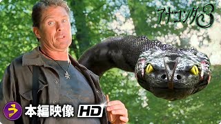 モンスターパニック・ホラー映画『アナコンダ3』本編映像（蛇に潰された）