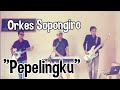 Orkes Sopongiro - Pepelingku (Official Music Video)