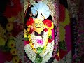 இந்த மீசக்கார சாமிக்கு கோவம் கொஞ்சம் அதிகம் god karuppasamy karuppu sudalai amman kali siva