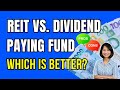 REITs vs. DIVIDEND PAYING FUNDs: Which is Better? /  Dividend Investing Strategy