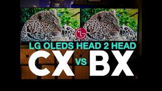 LG CX vs LG BX Battle of the LG OLEDs | Head 2 Head Comparison \u0026 Review