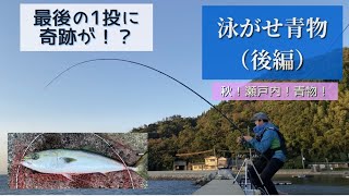 泳がせ青物（後編）2020年10月 秋！瀬戸内海！青物！　最後の１投に奇跡が！？