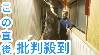 まさに「山の主」…「巨大イノシシ」捕獲に成功　体重140キロ・通常のイノシシの2倍以上、肉は400人前　「怖かった、カバかと思いました」