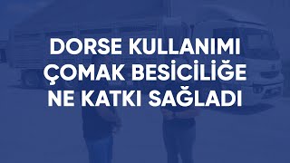 Dorse kullanımının işletmelere sağladığı faydalar