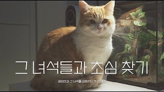 그 녀석들과 초심 찾기 | 레이먼과 그 녀석들 비하인드 컷 EP.55