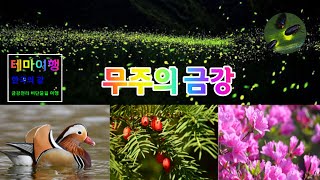 금강여행_무주의 금강_반딧불이,원앙,철죽,주목 (Jeollabuk-do Muju Firefly)