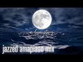 Private School Piano| A Love Story| Jazzy Soulful Amapiano Mix🌊🐚🌘🌑🖤🌺