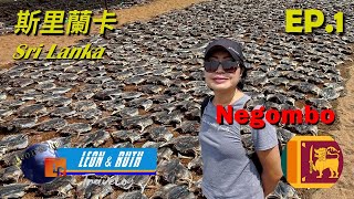 【斯里蘭卡 EP. 01】Sri Lanka: Negombo 內貢博; Negombo Fish Market; St. Sebastian's Church; St. Mary's Church