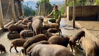 Jhony returns to the farm after visiting his mother