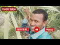 ዩቱብ አስገራሚ ያልበኩት ክፍያ ከፈለኝ ደስ ብሎኛል