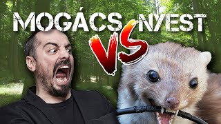 Nyest vs Mogács I Válogatott történetek I Mogács Extra