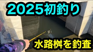 「2025初釣り」水路桝を釣査2025.1.1