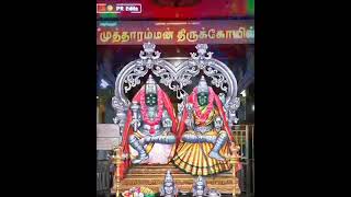 kulasai muthutharamman watsapp status||  கேட்டா கொடுக்குற பூமி இது....|| கேட்காம கொடுக்குற சாமி இது