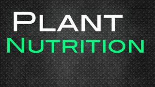 Plant Nutrition IGCSE Biology