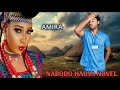 amira part 11 hausa novel audio