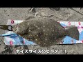 釣れない方は必見！ヒラメを釣るために覚えて欲しいミノーの使い方