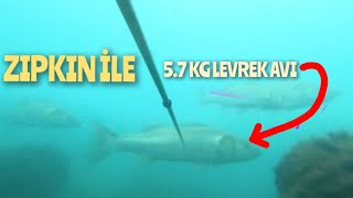 ZIPKIN İLE 5.7 KG MUHTEŞEM LEVREK AVI