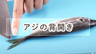 アジの背開き（フライ用)【料理の基本】