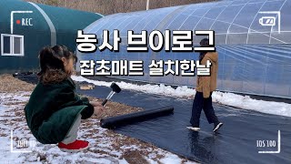 [농사vlog] 풀안나 잡초매트 제초매트 설치방법 알려드려요