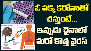 కరోనాతోనే చస్తుంటే మరో వైరస్ ను వదిలిన చైనా..!| New Virus in China| Hanta Virus Hulchul in China