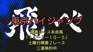 『競馬予想』東京ハイジャンプ予想