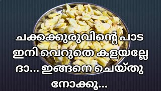 ചക്കക്കുരുവിന്റെ പാട ഇനി വെറുതെ കളയല്ലേ... ദാ.. ഇങ്ങനെ ചെയ്തു നോക്കൂ... ചക്കക്കുരു പാട മസാലക്കറി