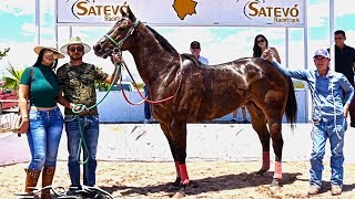 ESTELAR | MINISTRO VS JUEZ | DE LA GARZA PHOTOFINISH