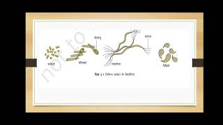 biological classification (जीव जगत का वर्गीकरण) NCERT LINE BY LINE series in hindi