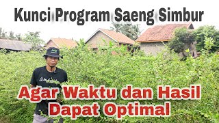 Ilmu Budidaya Bahan Bonsai Saeng Simbur Bersama Mas Ariyan Sakha