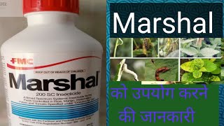 marshal insecticide। FMC ka marshal। धान कपास मिर्च टमाटर बेगन ककड़ी। #kisan #insecticide