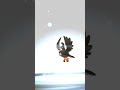 Starly - Staravia - Staraptor 😍 #pokemongo #pokemonevolution