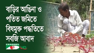 সিরাজগঞ্জে বাড়ির আঙিনা ও পতিত জমিতে বিষমুক্ত পদ্ধতিতে সবজি আবাদ