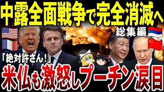 【ゆっくり解説】ロシア敵を作りすぎて消滅へ！米・仏・中国と全面戦争へ！？【総集編】