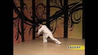 陈式太极拳56式12/第50动-第56动:李德印/屈国锋（表演）