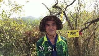 鍾愛山林387--觀音山31連峰20230108