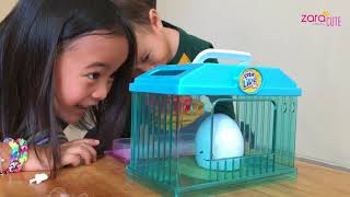 Unboxing Little Live Pets Chick | Egg Surprise | Zara Review Mainan Anak | Lets Play