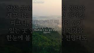 국내 여행 대구 가면 꼭 가볼만한 곳 5곳 #shorts #여행